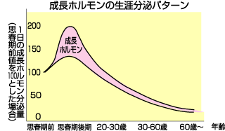 �v�t�� ���_�я���