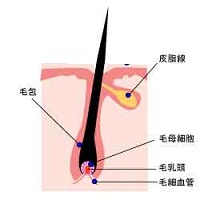 �v�t�� ���_�я���